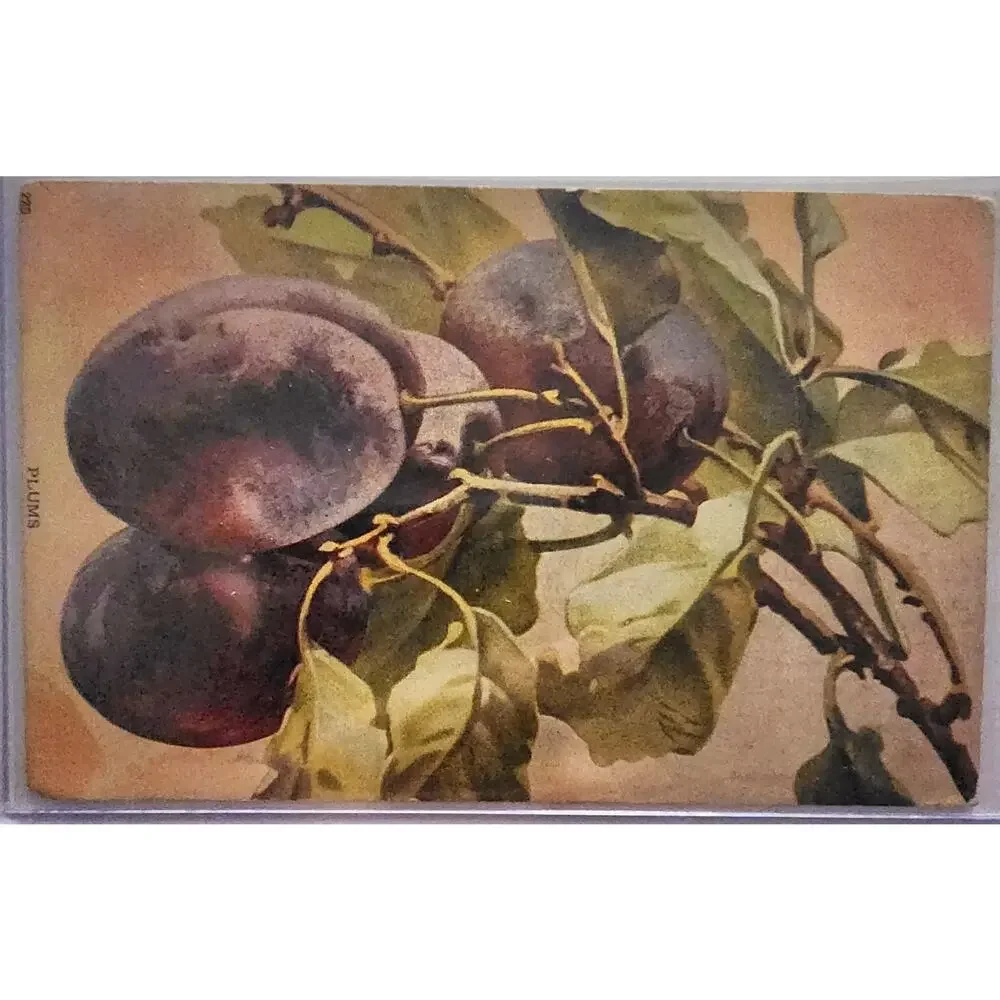 Lot Of Four Vintage Antique Embossed Postcards Fruit